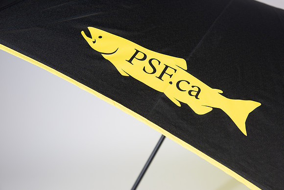 PSF-317