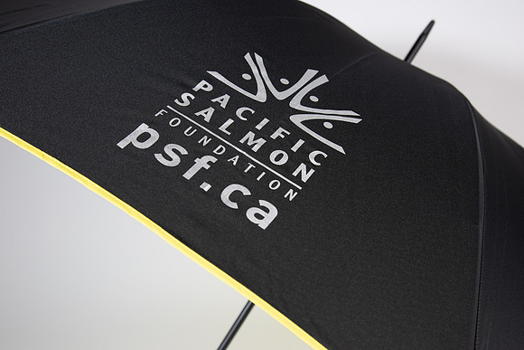 PSF-318