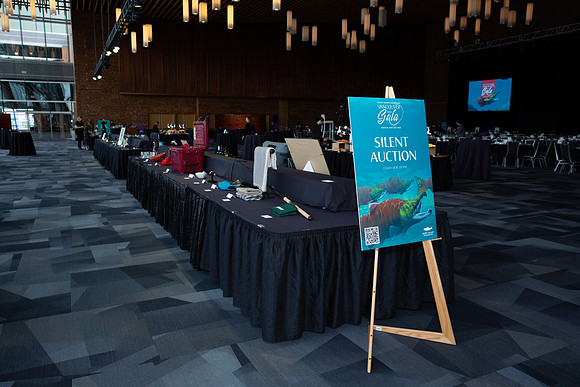 4-SETUP-PSF GALA 2022-159