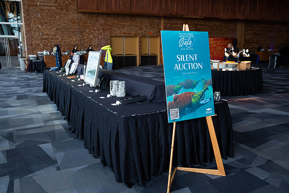 4-SETUP-PSF GALA 2022-248