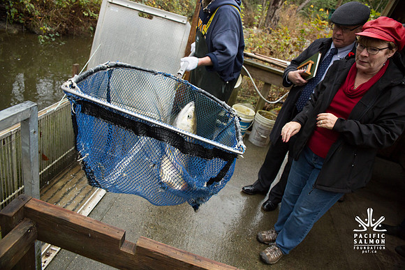 PSF - TYNEHEAD HATCHERY - MP Ken Hardie-111