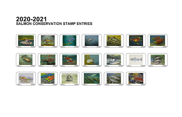 2020 TO 2021-11x17