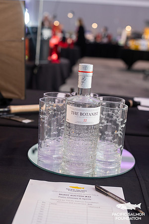1-PSF-VICTORIA-GALA-345