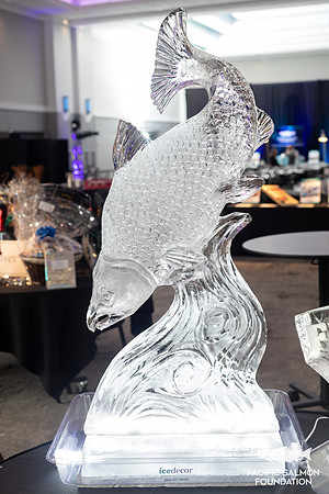 1-PSF-VICTORIA-GALA-311