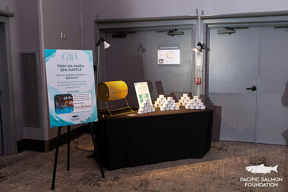 1-PSF-VICTORIA-GALA-377