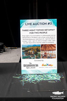 1-PSF-VICTORIA-GALA-203