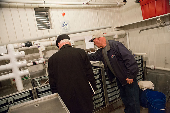 PSF - TYNEHEAD HATCHERY - MP Ken Hardie-79