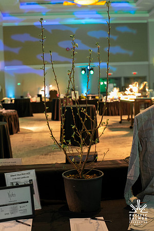 8-PSF VICTORIA GALA 2020-350