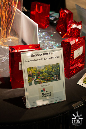 8-PSF VICTORIA GALA 2020-303