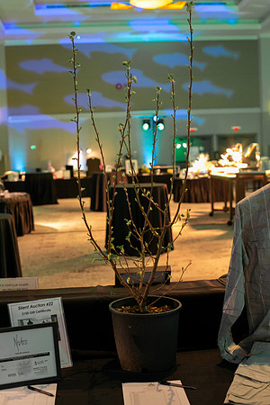 8-PSF VICTORIA GALA 2020-350