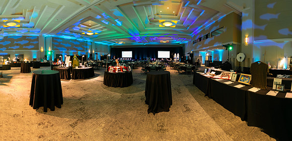 8-PSF VICTORIA GALA 2020-397