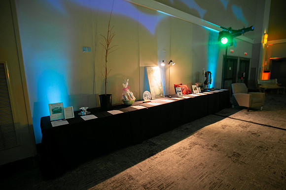 8-PSF VICTORIA GALA 2020-376
