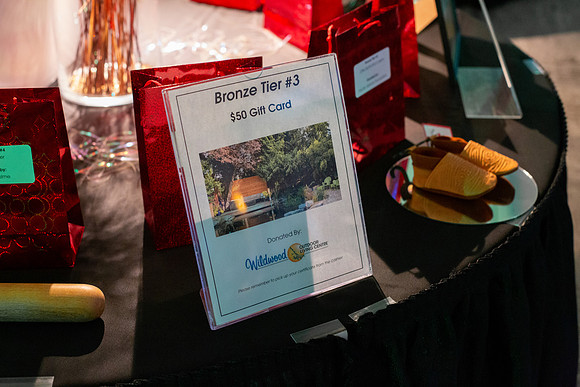 8-PSF VICTORIA GALA 2020-299