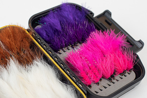 FLY FISH -A-3