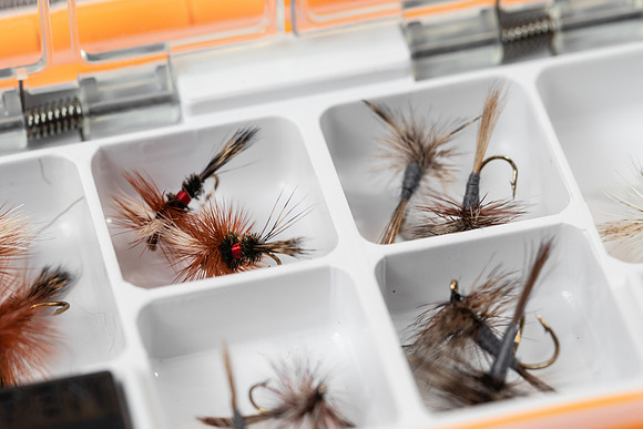 FLY FISH - B-3