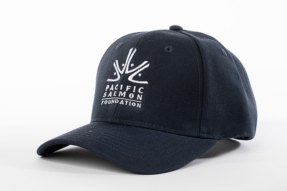 PSF HAT-2