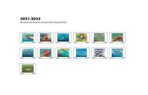 11x17 2021 - 2022 Stamp Size Entry Flat Sheet
