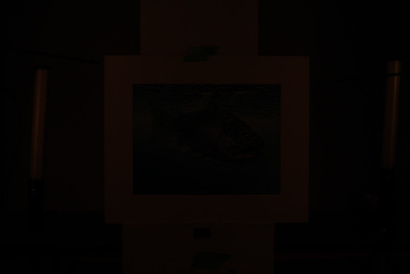 195A9853