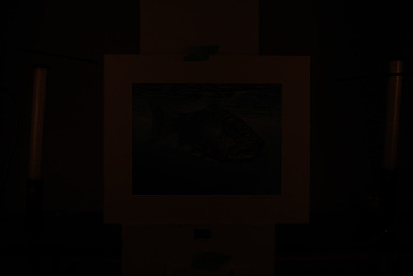 195A9850