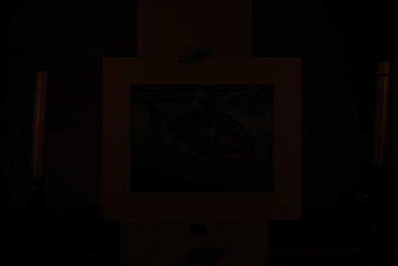 195A9854