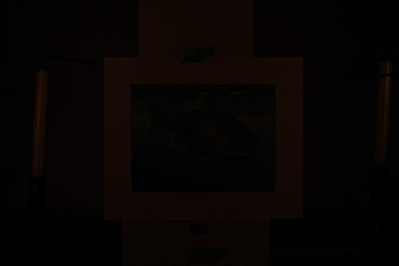195A9856
