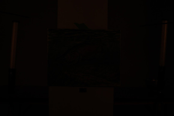 195A9875