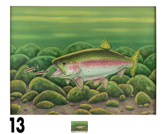 13