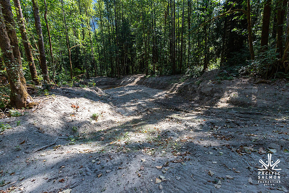 PIT RIVER VISIT - TWO - PSF-3