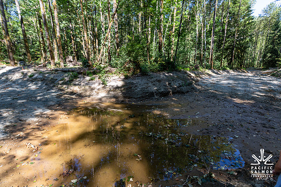 PIT RIVER VISIT - TWO - PSF-11