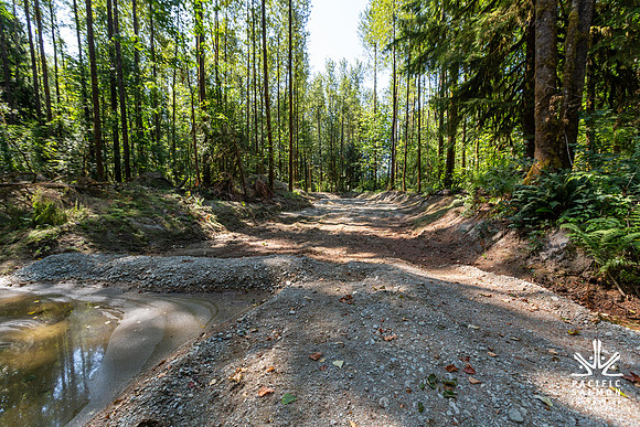 PIT RIVER VISIT - TWO - PSF-25