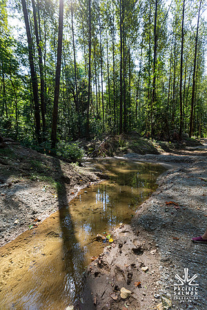 PIT RIVER VISIT - TWO - PSF-29