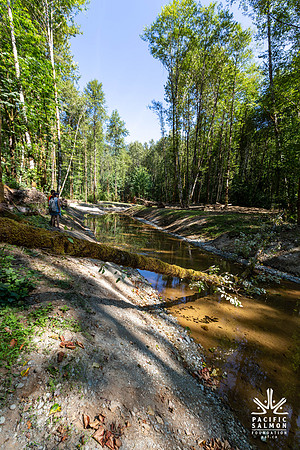 PIT RIVER VISIT - TWO - PSF-38