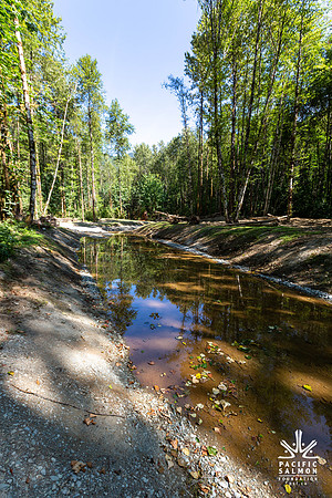 PIT RIVER VISIT - TWO - PSF-43