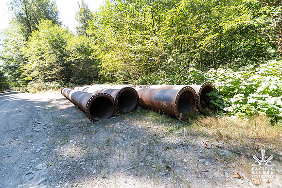 PIT RIVER VISIT - TWO - PSF-211