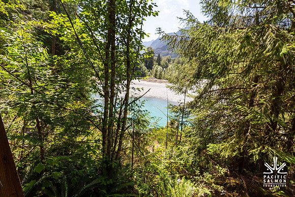 PIT RIVER VISIT - TWO - PSF-232