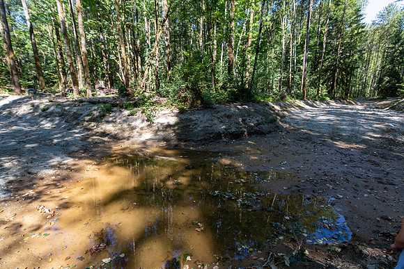 PIT RIVER VISIT - TWO - PSF-11