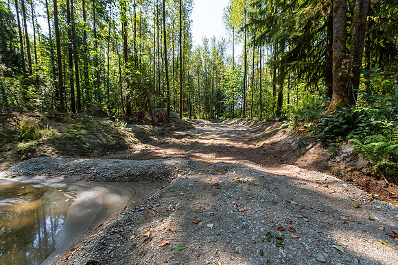 PIT RIVER VISIT - TWO - PSF-25