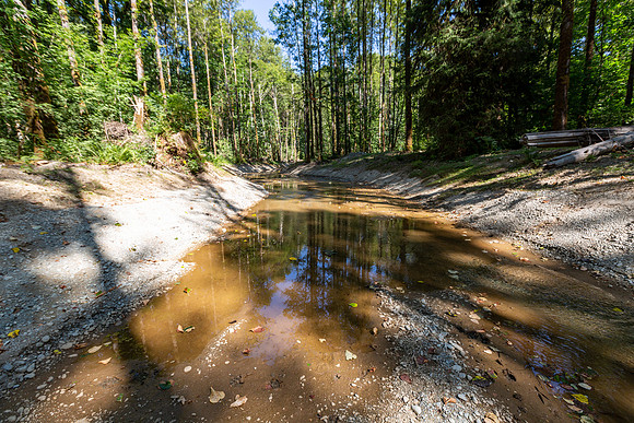 PIT RIVER VISIT - TWO - PSF-27