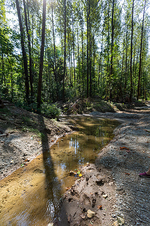 PIT RIVER VISIT - TWO - PSF-29