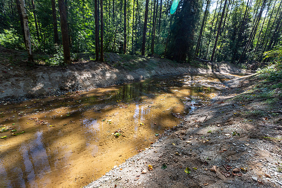 PIT RIVER VISIT - TWO - PSF-34