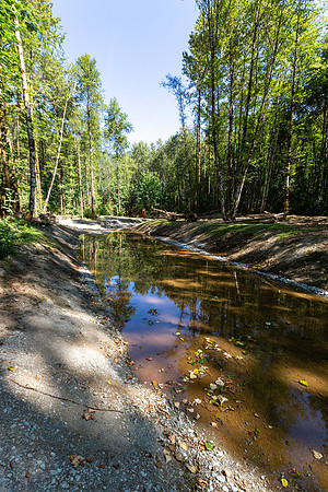 PIT RIVER VISIT - TWO - PSF-43