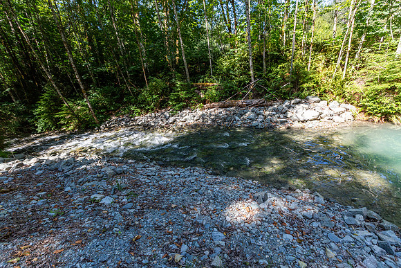 PIT RIVER VISIT - TWO - PSF-123