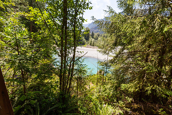 PIT RIVER VISIT - TWO - PSF-232