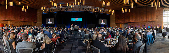 3-D+L-PSF GALA 2022-3