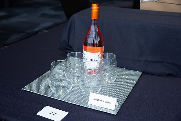 4-SETUP-PSF GALA 2022-149