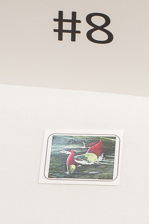 4 - 2016 STAMP ART COMPETITION-25