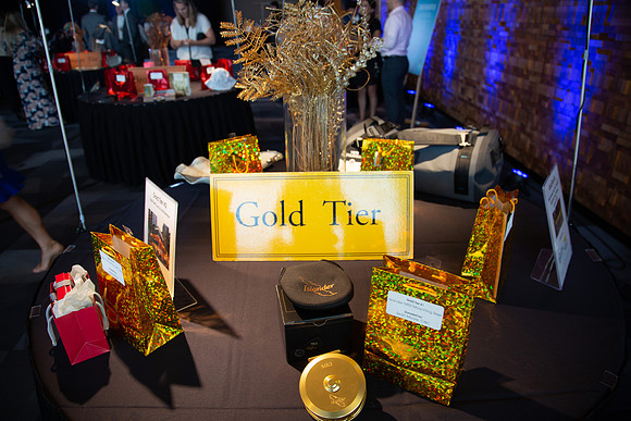 4-SETUP-PSF GALA 2022-430