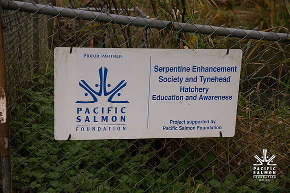 PSF - TYNEHEAD HATCHERY - MP Ken Hardie-9