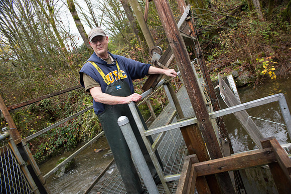 PSF - TYNEHEAD HATCHERY - MP Ken Hardie-105