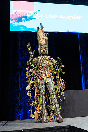 3-D+L-PSF GALA 2022-150